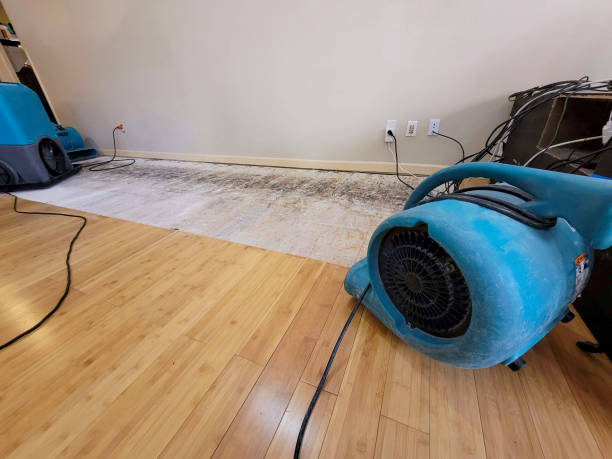 Professional Ceiling Water Damage Repair technician working in Montrose, MN